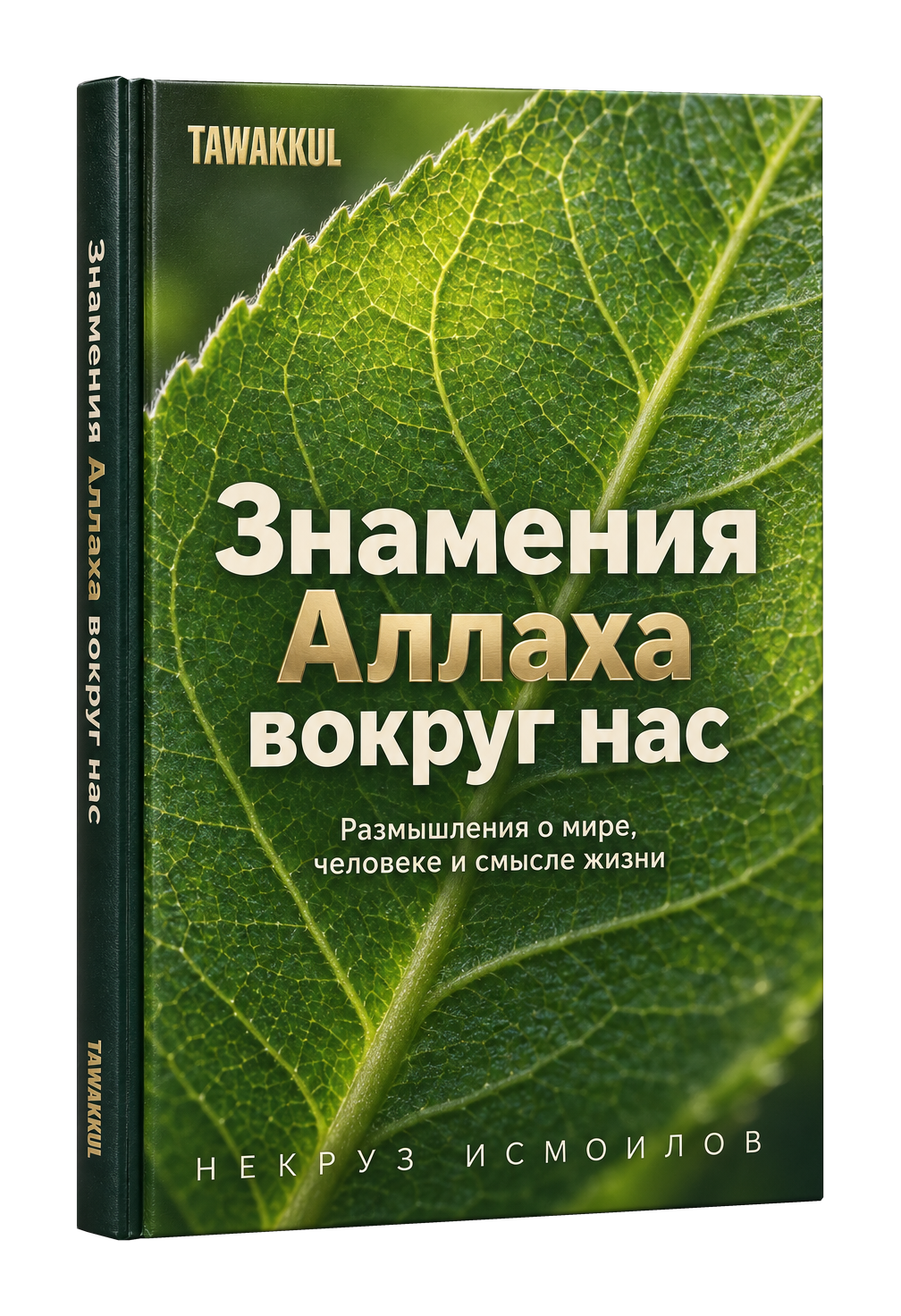 Знамения Аллаха вокруг нас. НЕКРУЗ ИСМОИЛОВ. Обложка книги