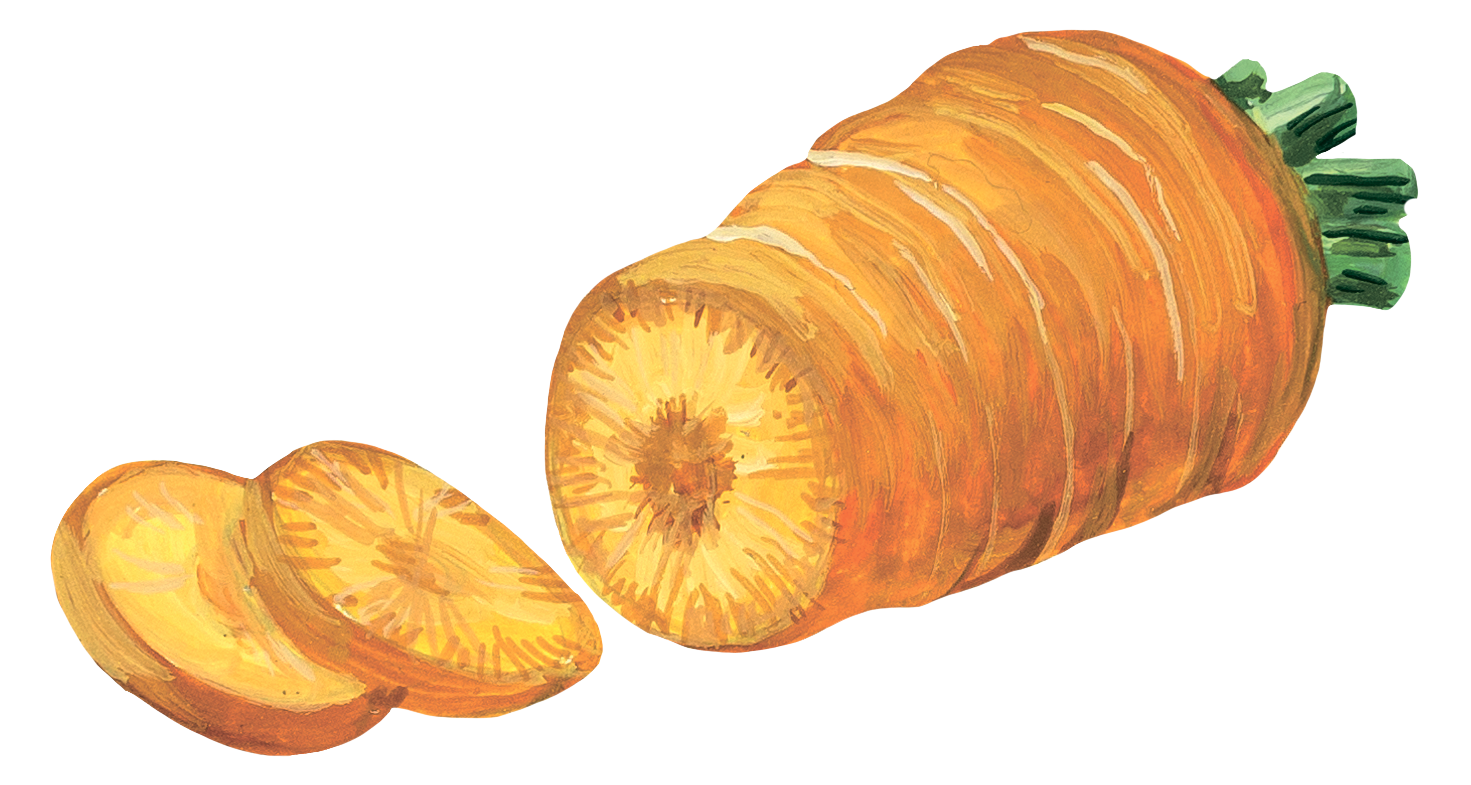 Корма для грызунов