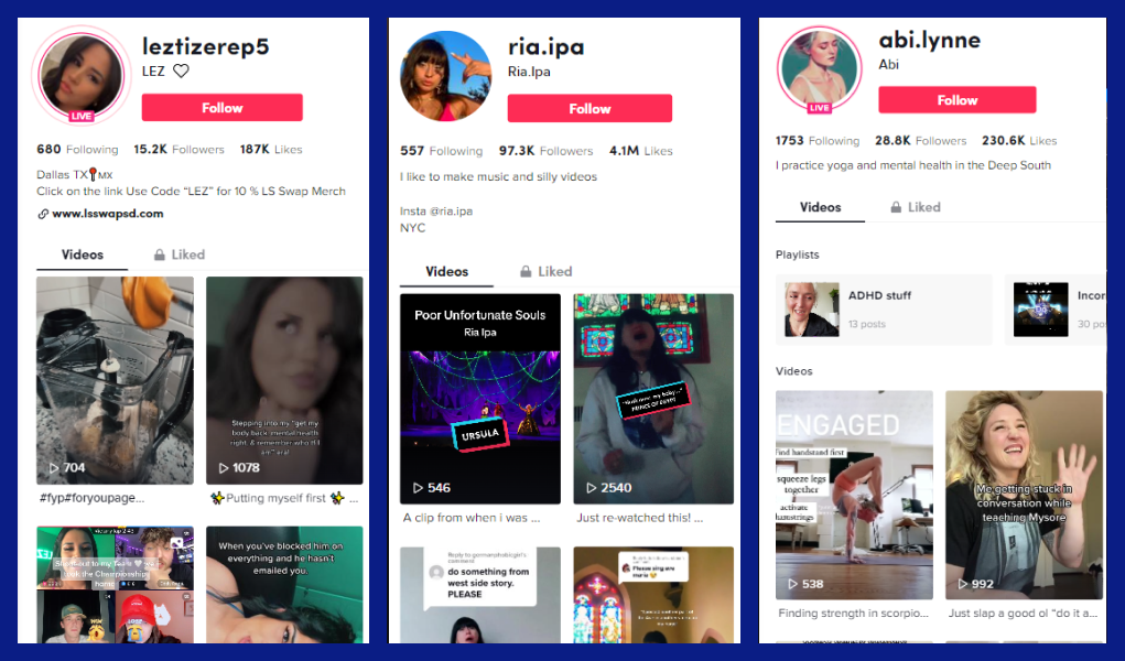 Three screenshots show popular variants of TikTok bios. The first one use a call to action, the second tells about the creator and her content, and the third one include relevant keywords.