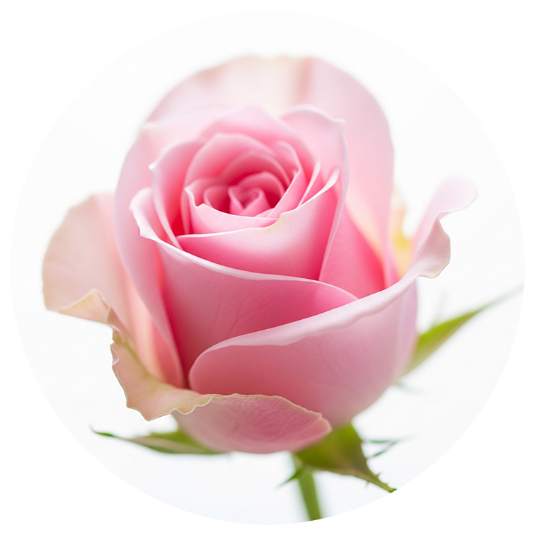 Средство от грибка 