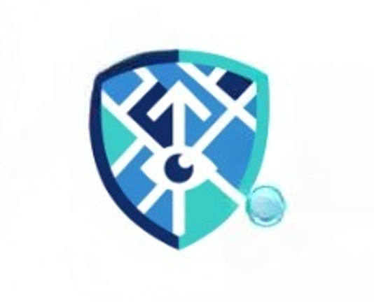 Дорожный Инспектор