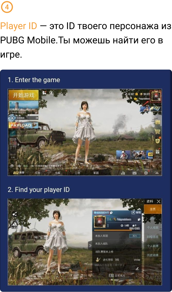 Вывод монет Apex Coins