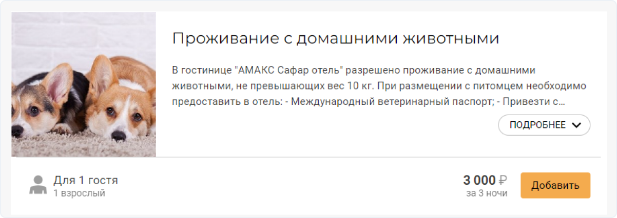 проживание с животными в отеле