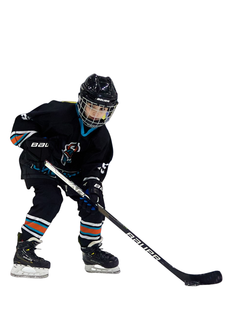 школа хоккея