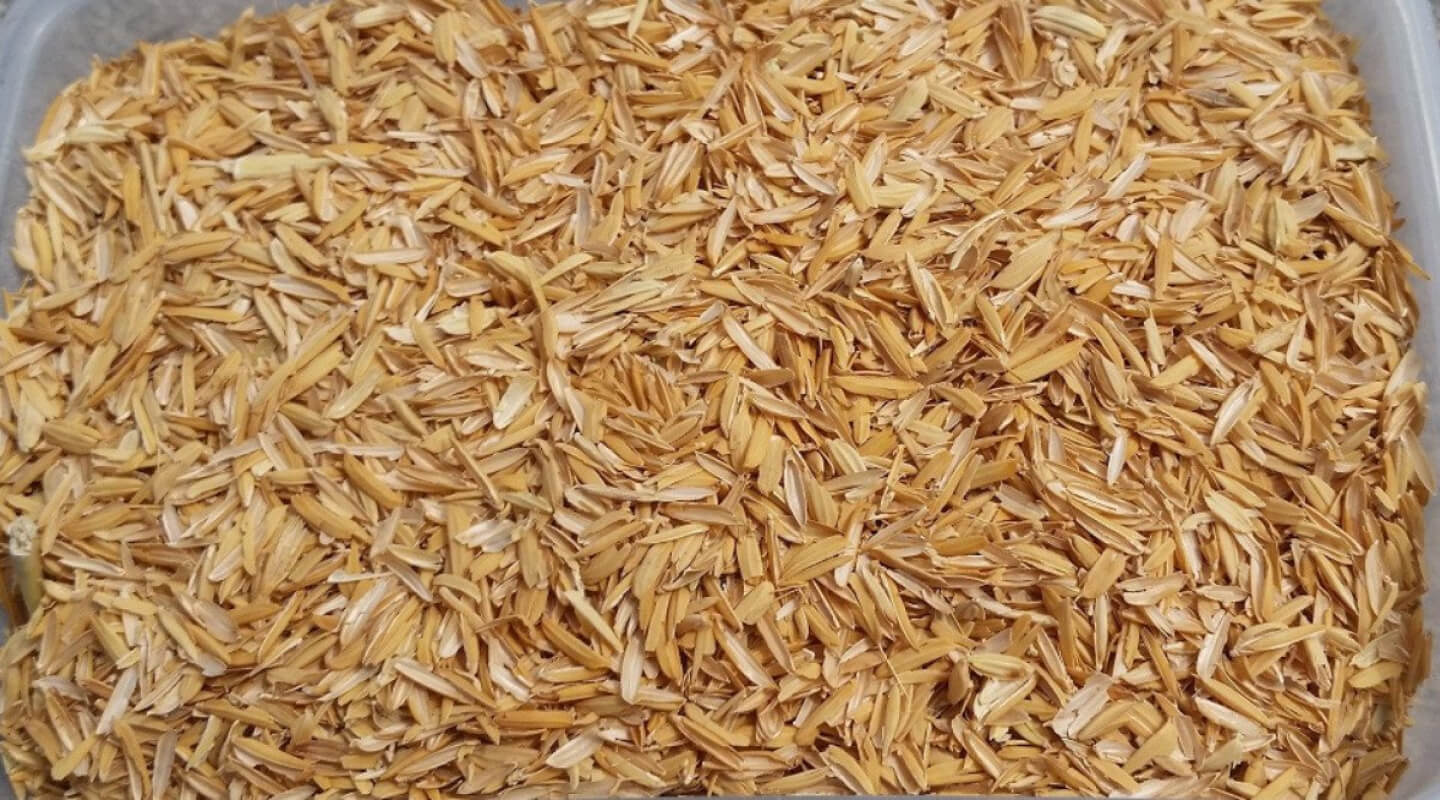 Очистка зерна от мякины на ветру. Rice Husk. Рисовая Мякина. Рисовая шелуха (лузга). Лузга ячменная.
