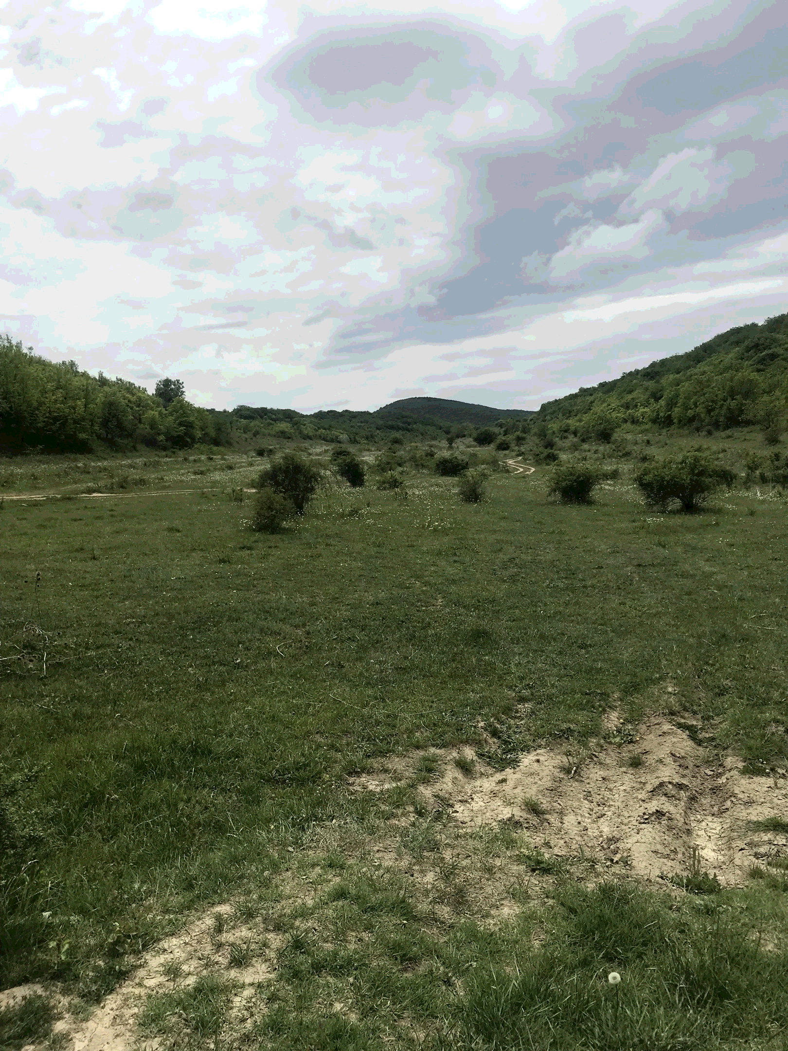 Трудолюбовка бахчисарайский район карта