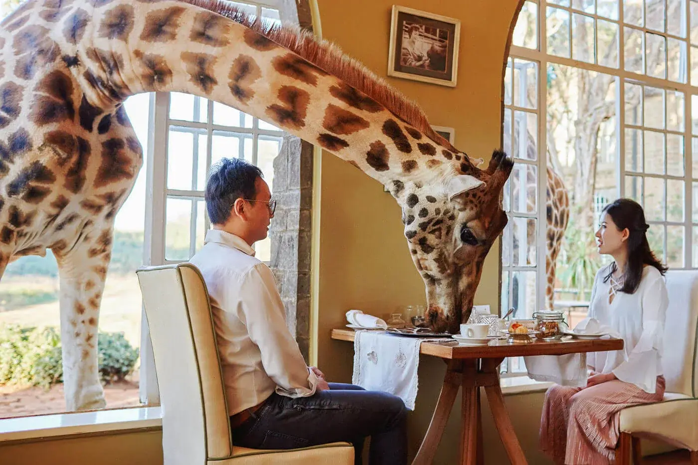 Giraffe Manor Photography Best Safari Wedding Photo Session Award Winning Fashion Female Destination Kenyan Top Kenya Wedding Photographer  长颈鹿庄园野生动物园婚礼  結婚式の写真ジラフ荘園 ナイロビケニア  結婚式写真,結婚写真,前撮り,フォトウェディング,ロケーション撮影,ウェディングフォト,ウェディング,結婚式,挙式,写真,撮影,スタジオ,フォトスタジオ,ウェディングドレス,ラヴ