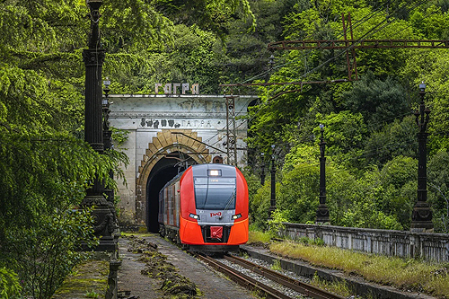 ласточка в гагру