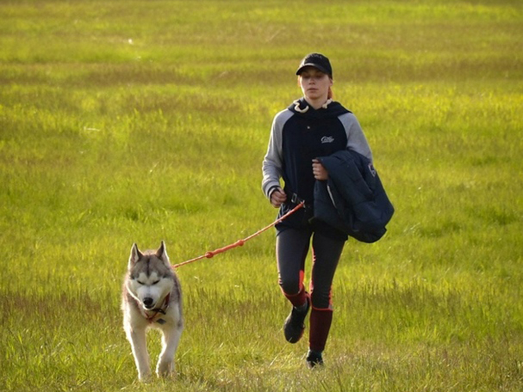 Хаски трекинг