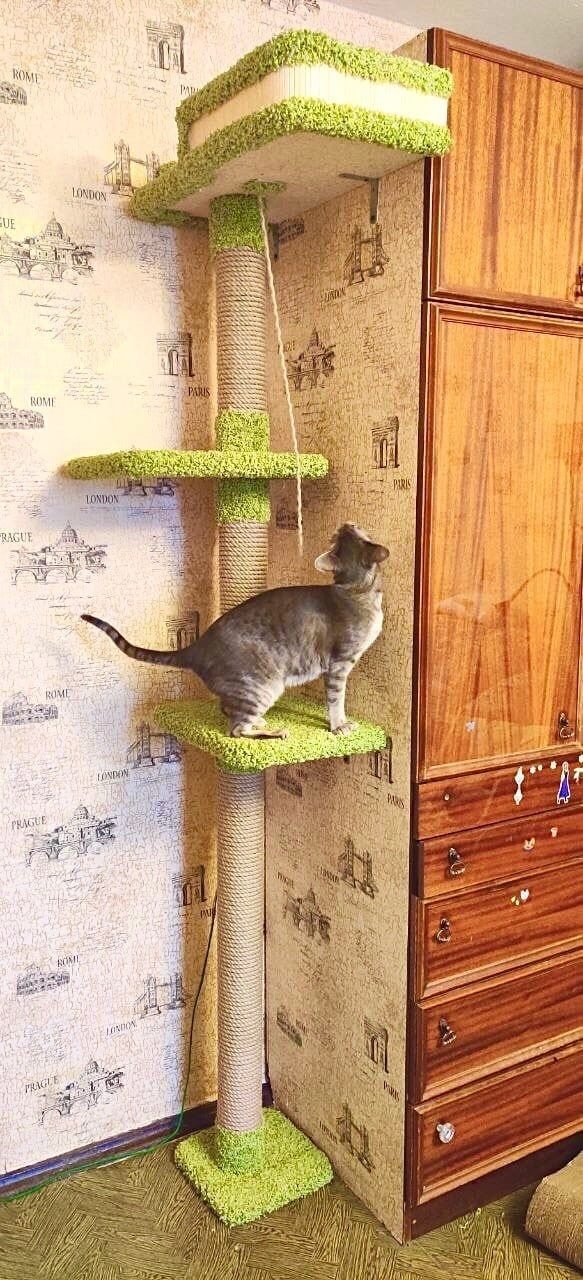 Котомастер Домики Для Кошек Интернет Магазин