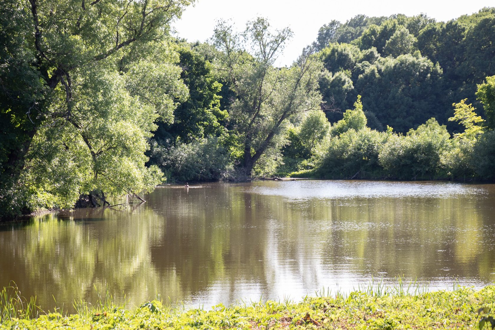 Село уваровское ставропольский край. Уваровский пруд в Городище Волгоградской области.