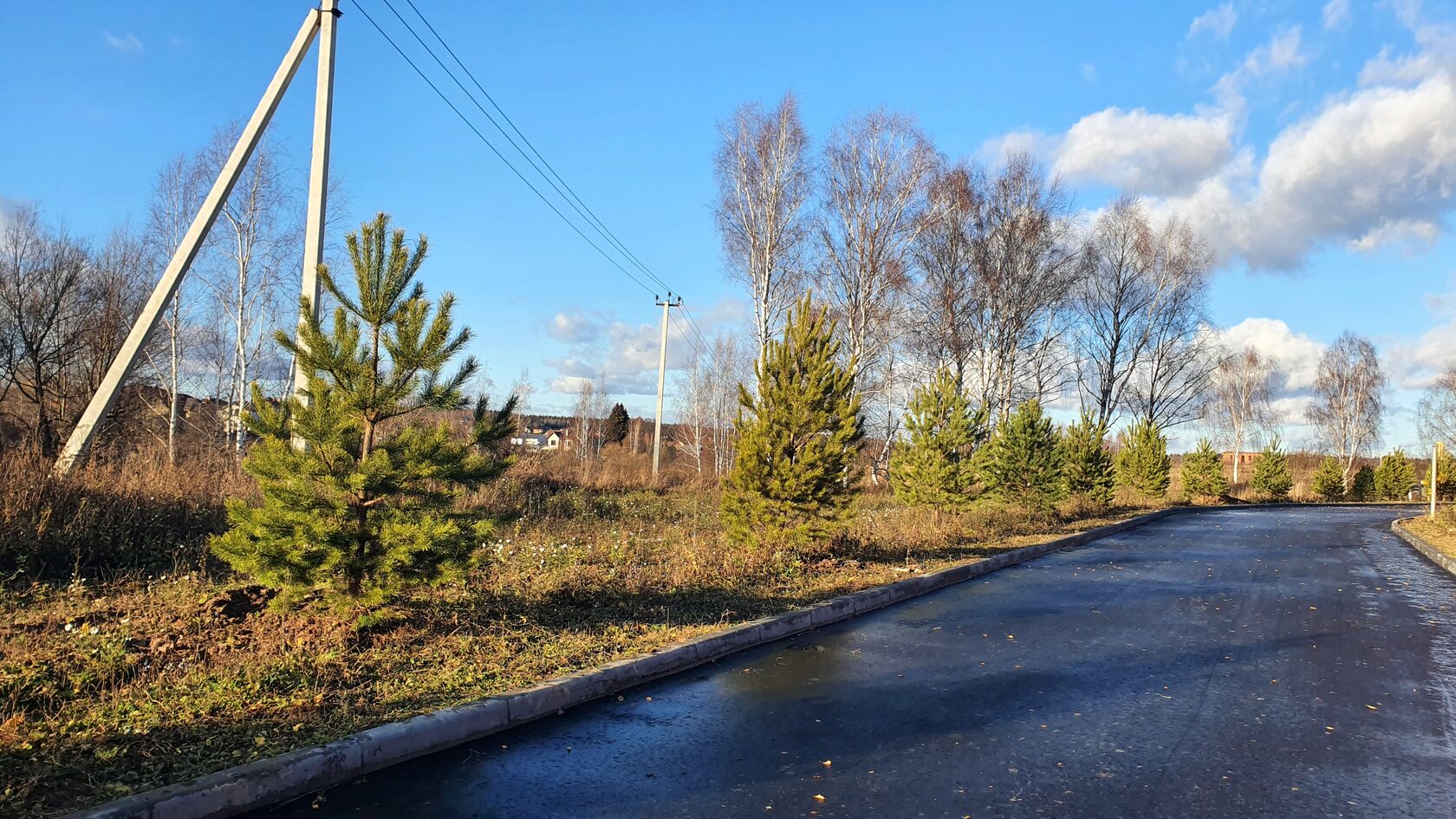 петровский парк рыбинск