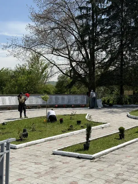 Общий вид зелёной зоны у памятника: высадка декоративной ивы и хвойных растений