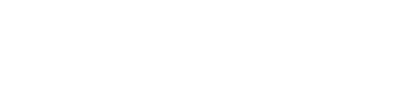 Культурно-выставочный центр «Чудо-шаль»