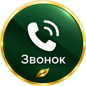 website icon
