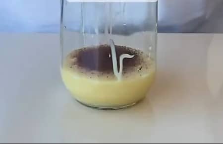 Приготовление ликёра «Бейлис» в домашних условиях: шаг 1