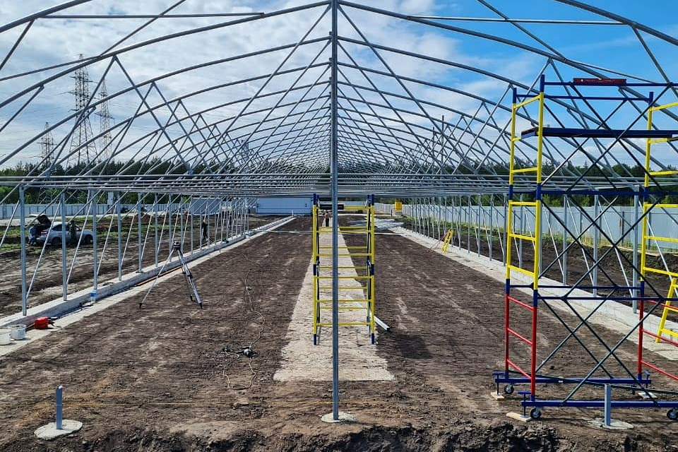 плодово-ягодные культуры