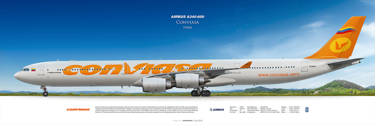 Airbus A340-600 Conviasa, airplane on a landscape background