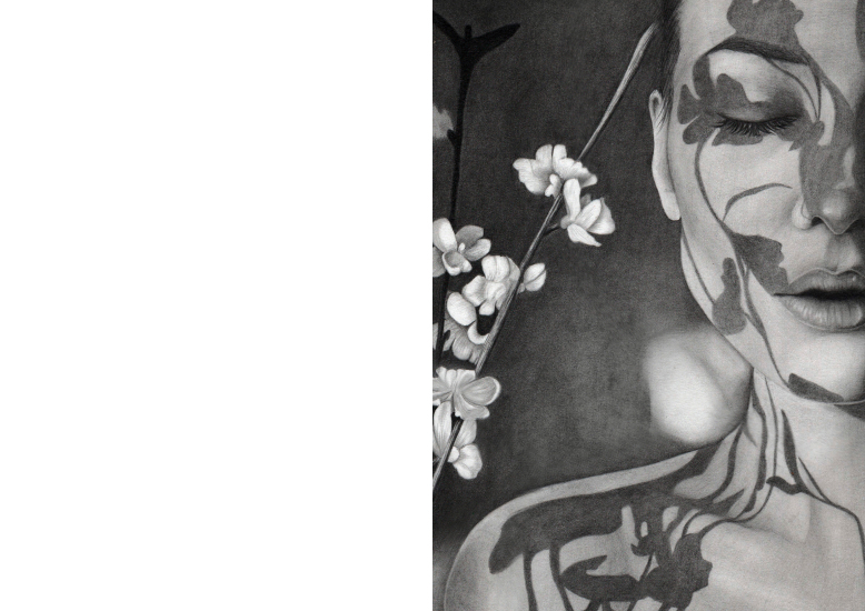 pencil drawing