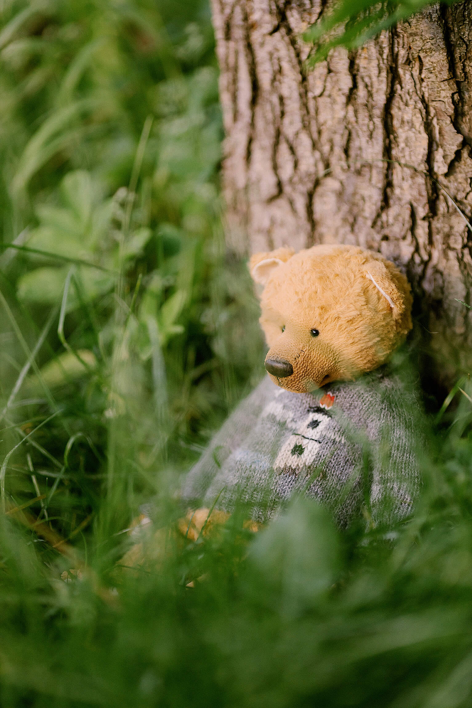 Мишка Тедди под деревом