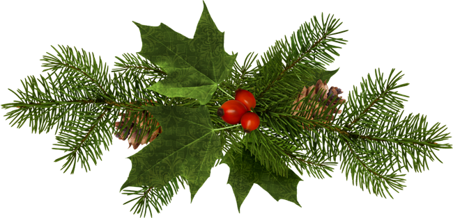 коктейли на основе кокьяка