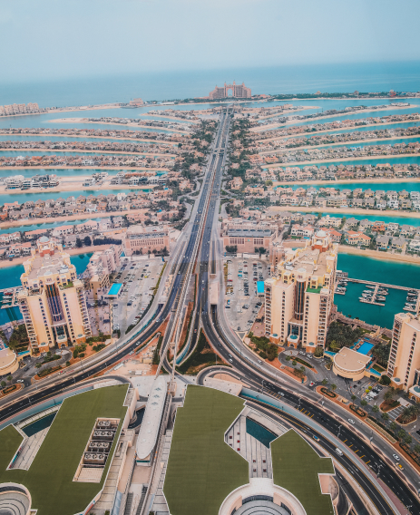 The View at the Palm