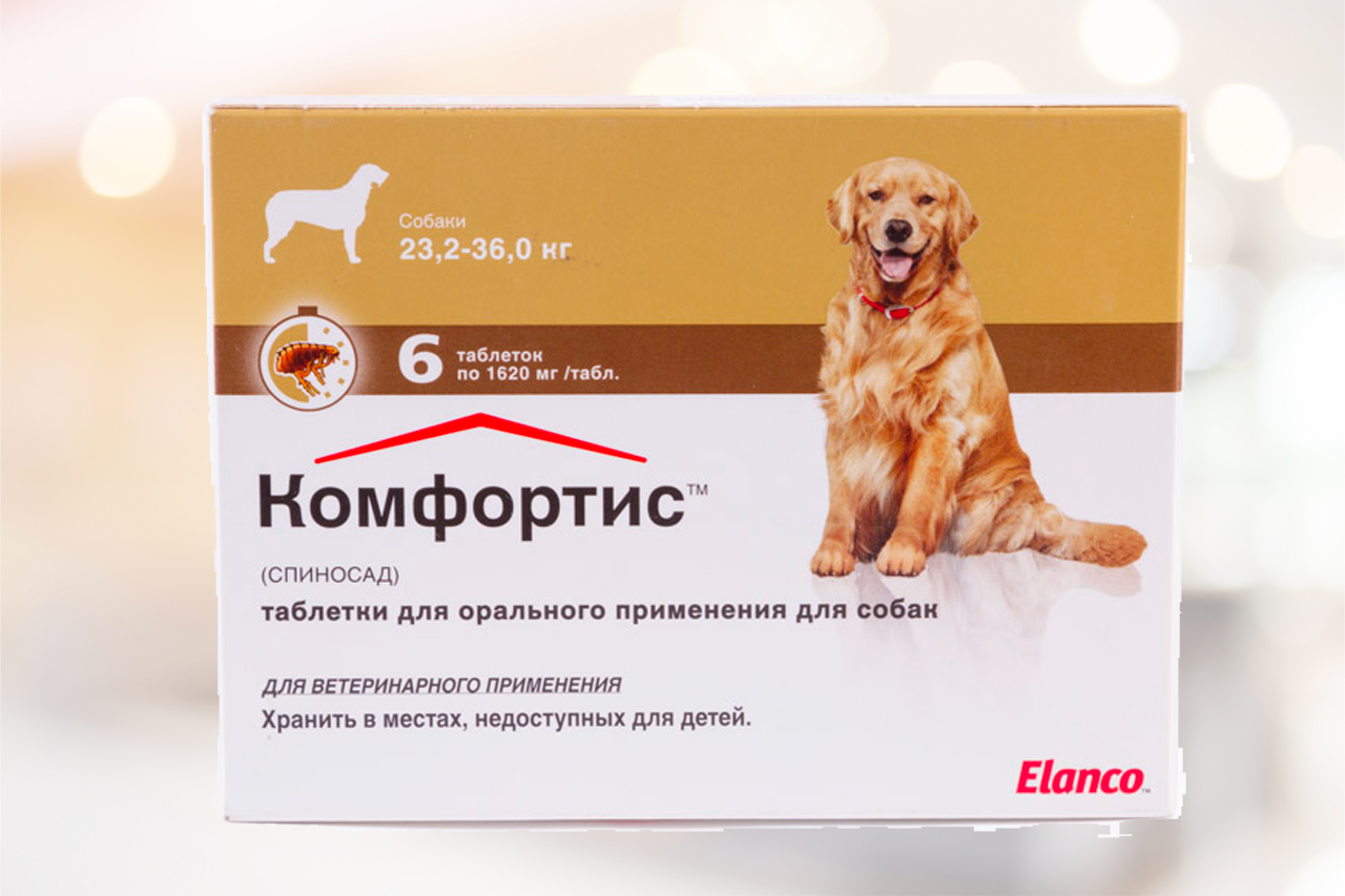 Эффективное от блох для собак. Таблетки комплексные от блох. Эффективное средство от блох собачек. Средство от блох для кошек и собак. Лекарства от блох для кур.
