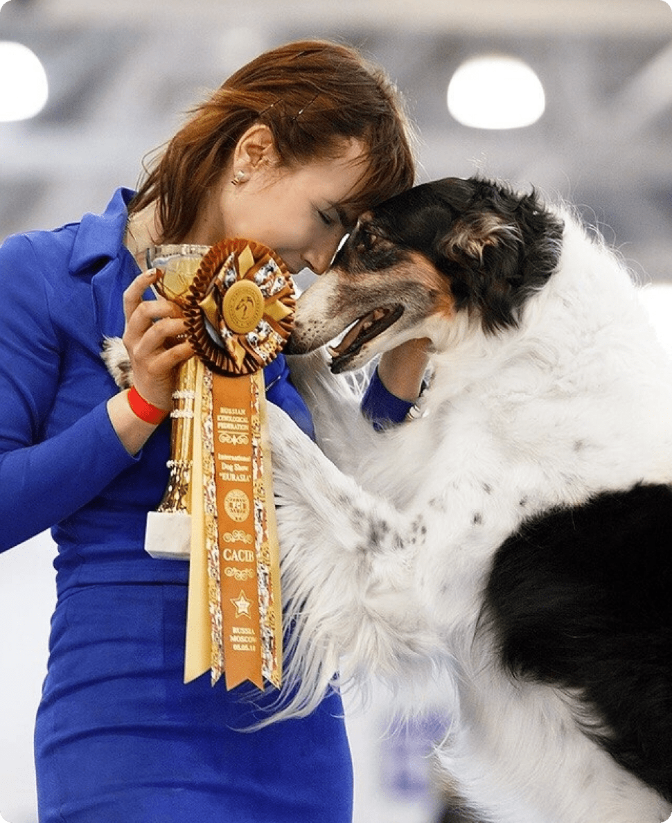 Ветеринарная клиника, ветклиника