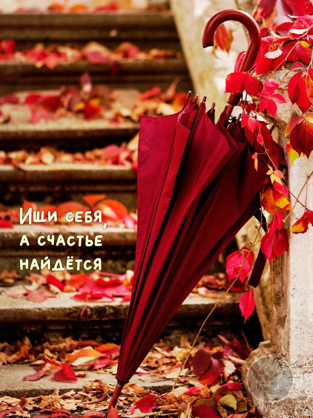 Картинки с добрыми цитатами: красный зонт на осенней лестнице с опавшими листьями и надписью 