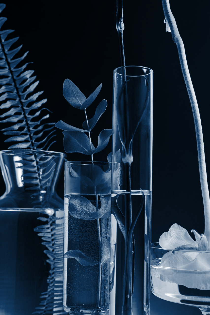 Контрактное производство косметики в России - шампуни, гели, масло, пасты