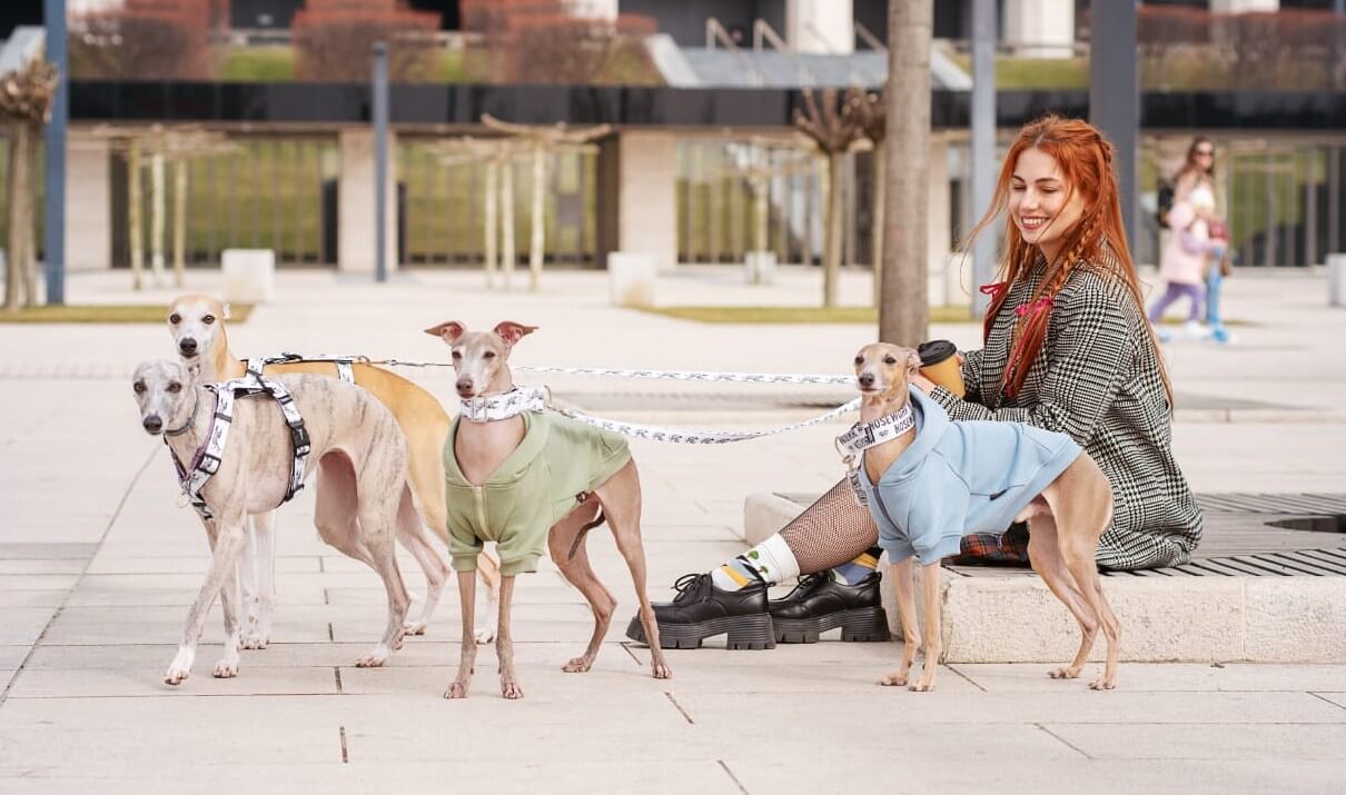 Ошейники-мартингейл Догохоликс