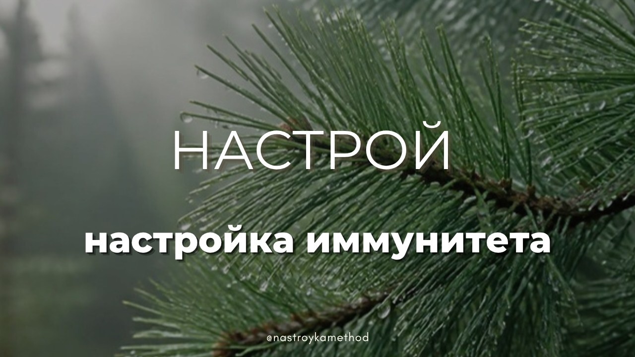 Настрой «Настройка иммунитета»