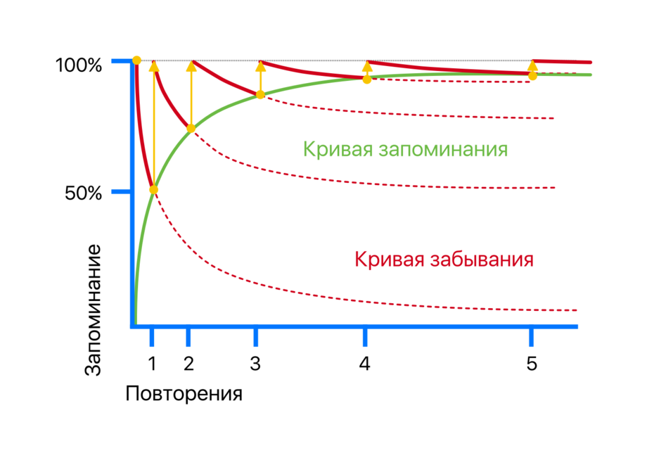 Зависимость запоминания. Герман Эббингауз кривая. Эббингауз кривая забывания. Герман Эббингауз кривая забывания. Эббингауз кривая запоминания забывания.