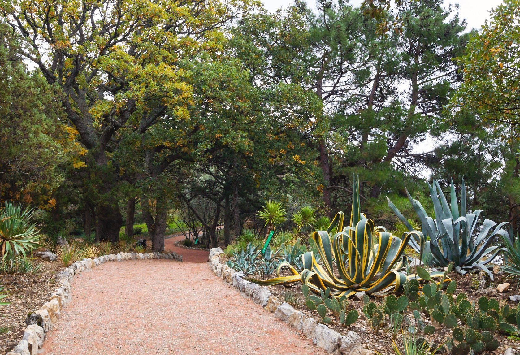 приморский парк никитского ботанического сада