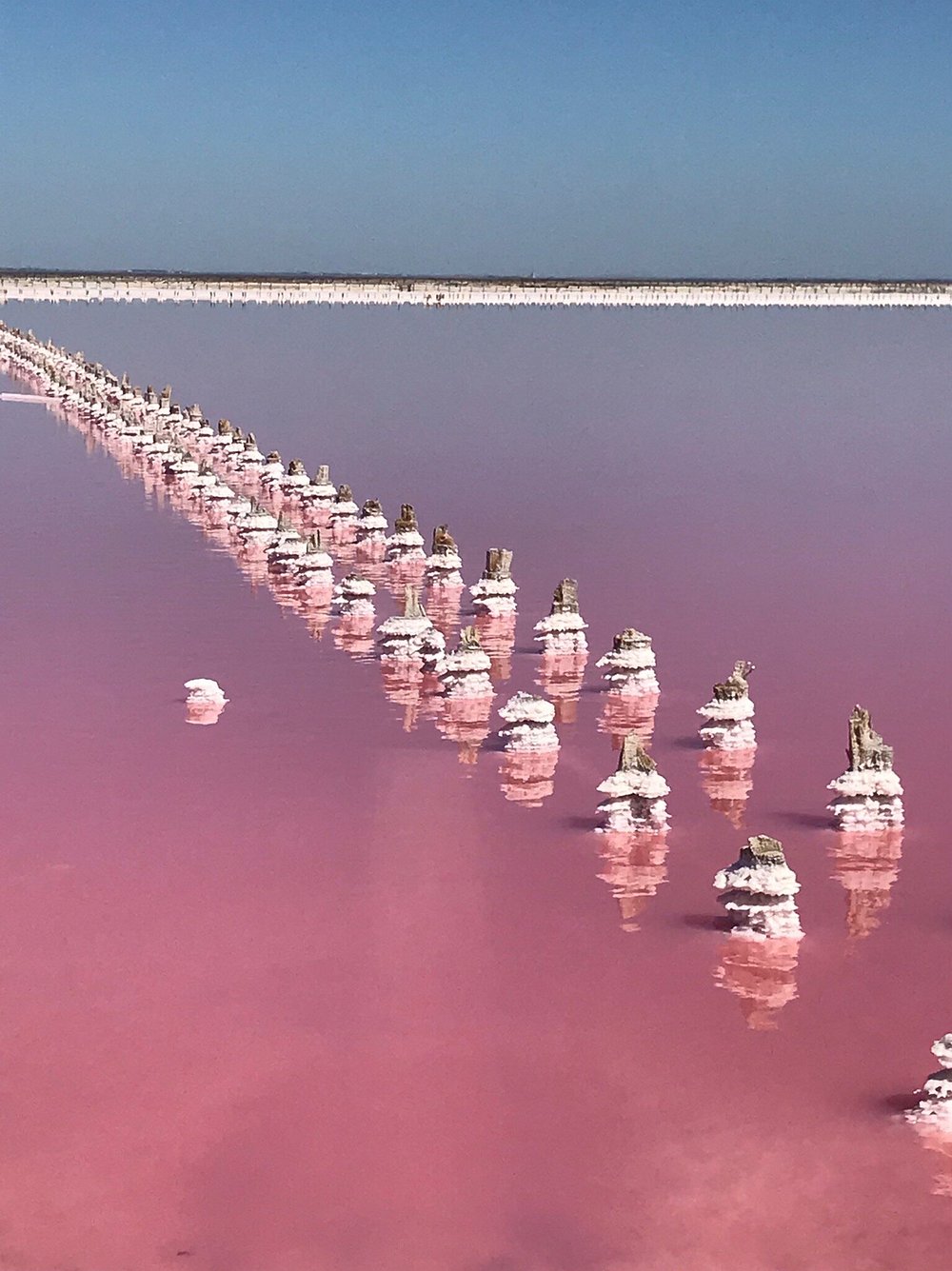 Сасык-Сиваш - розовое озеро