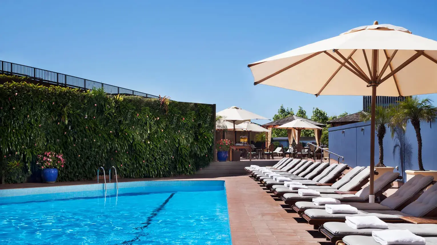 Открытый бассейн с шезлонгами и зонтами на террасе отеля Four Seasons Hotel Sydney