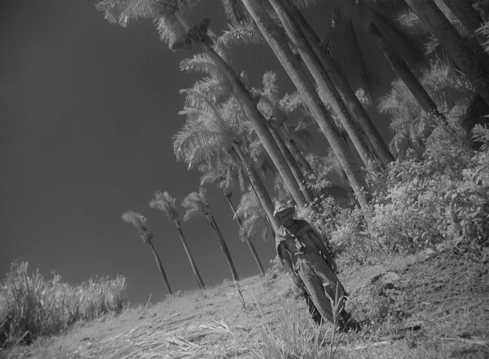 Я - Куба - Голландский угол