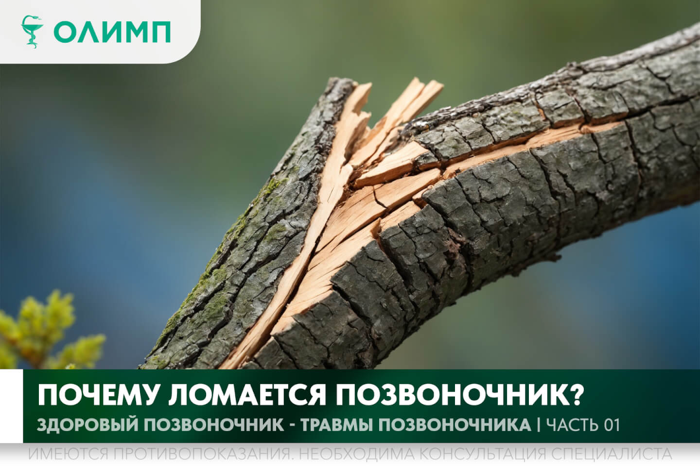 олимп тюмень медицинский центр клиника терапевт медцентр в тюмени олимпийская мельникайте позвоночник боли в спине спина