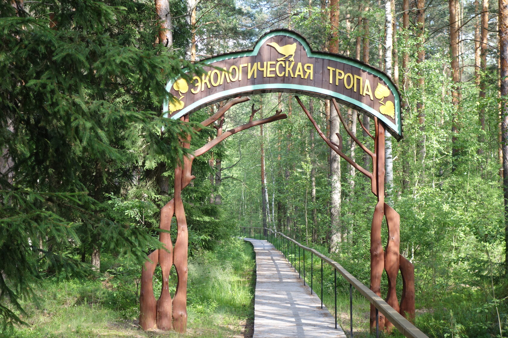 Национальный парк Мещёра во Владимирской