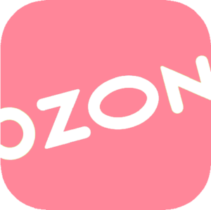 website icon