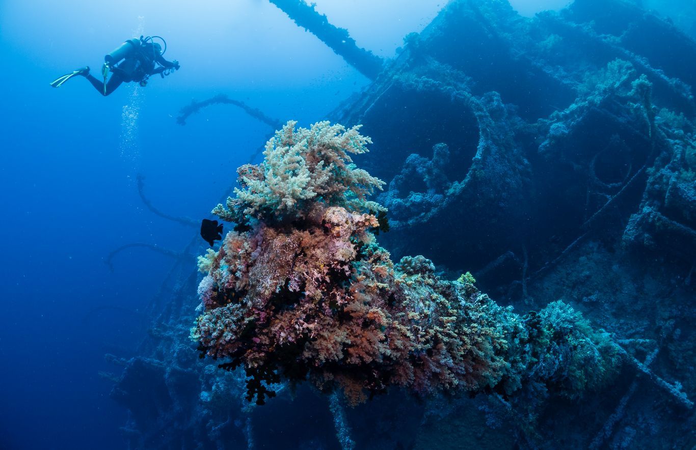 Diving holidays. Дахаб риф. Дайвинг в Баренцевом море. Дедалус риф. Голубая дыра Шарм-Эль-Шейх.