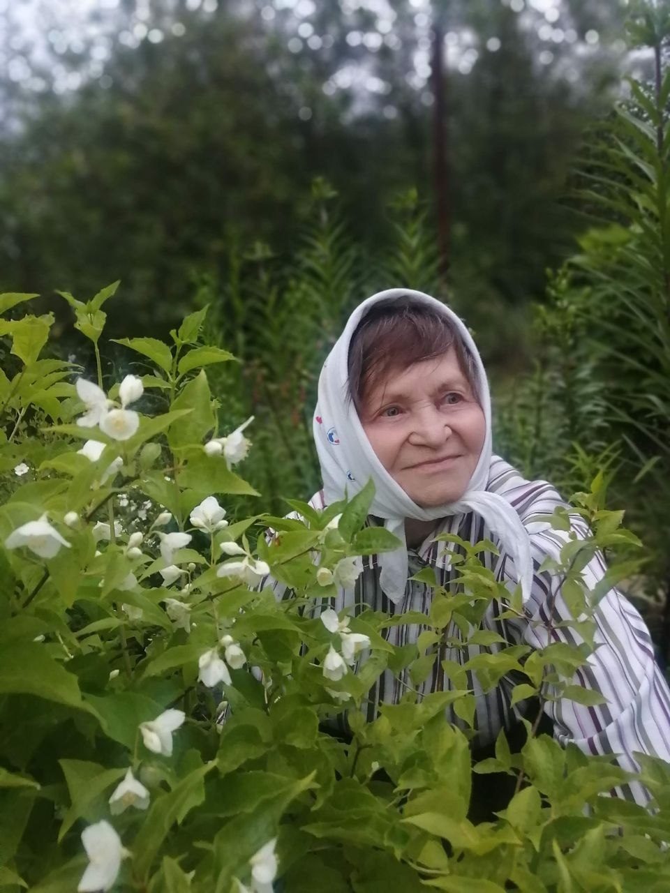Татьяна Константиновна