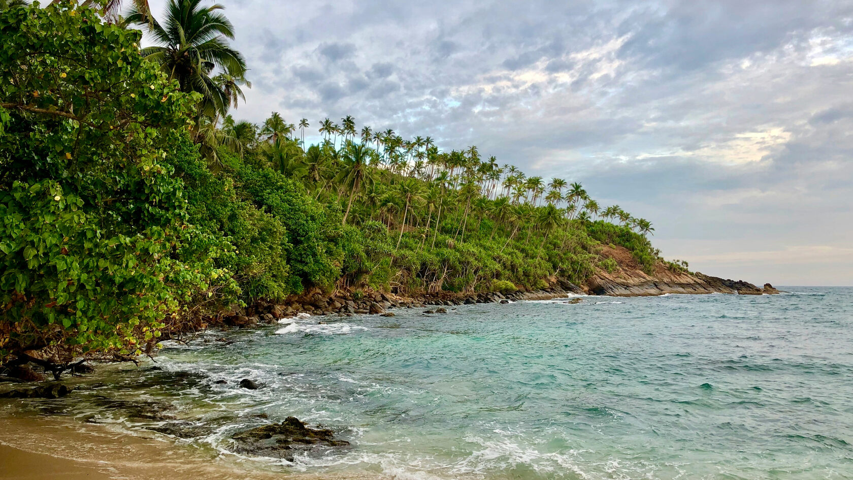 Холм кокосовых пальм. Мирисса. Шри-Ланка