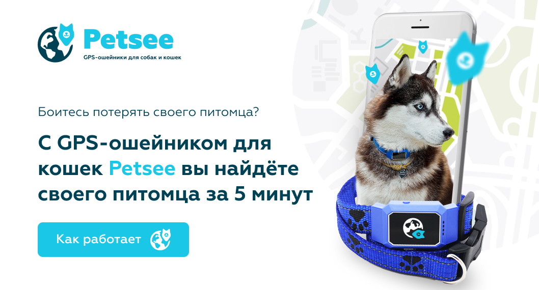 Трекер petsee. GPS трекер для собак petsee. Petsee GPS-ошейник, белый. Ошейник трекер с GPS для собак и кошек Petsy (желтый. Petsee GPS-ошейник, синий.