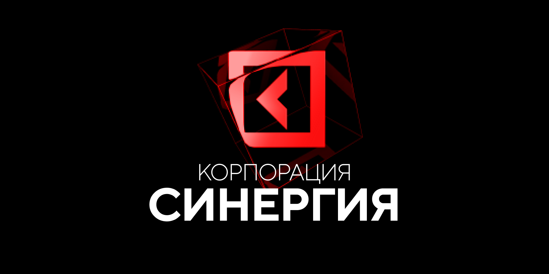 Корпорация синергия. Synergy.