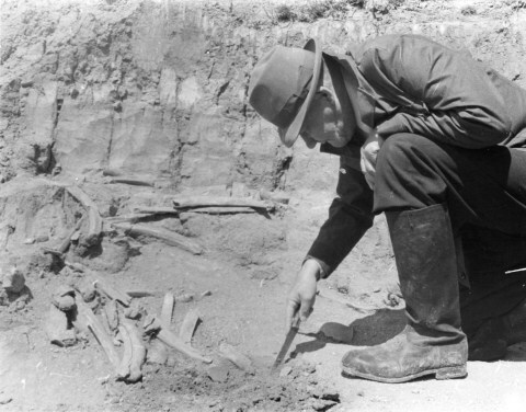 Читать онлайн книгу Советсткие ученые. Очерки и воспоминания - Юрий Соколов бесп