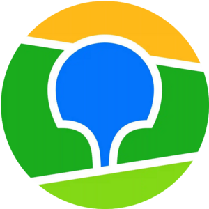 website icon