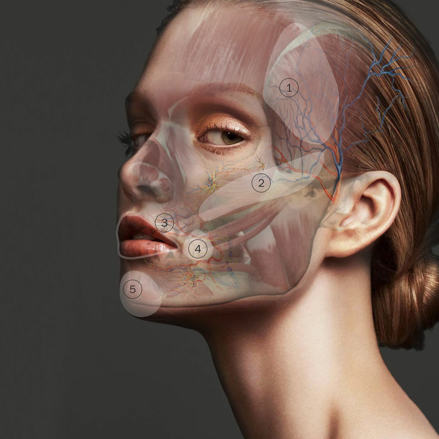 Face Art опасные зоны