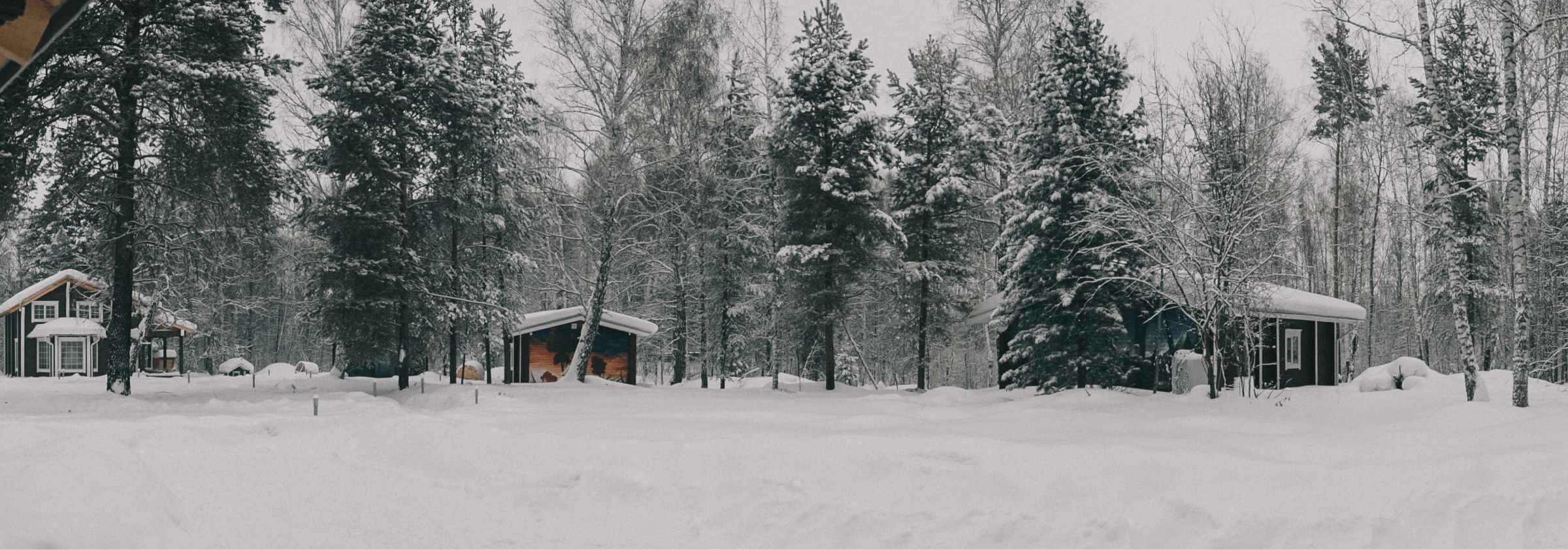 бани в Томске