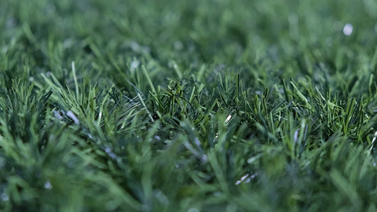 Заказать зеленый забор в Екатеринбург | ГринОград